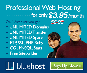 bluehost 3.95 disocunt